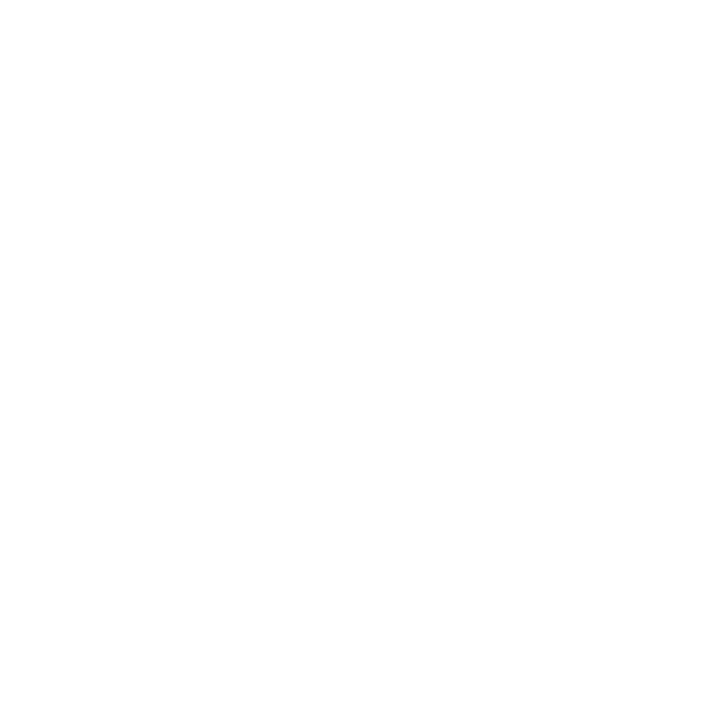 forever young bags